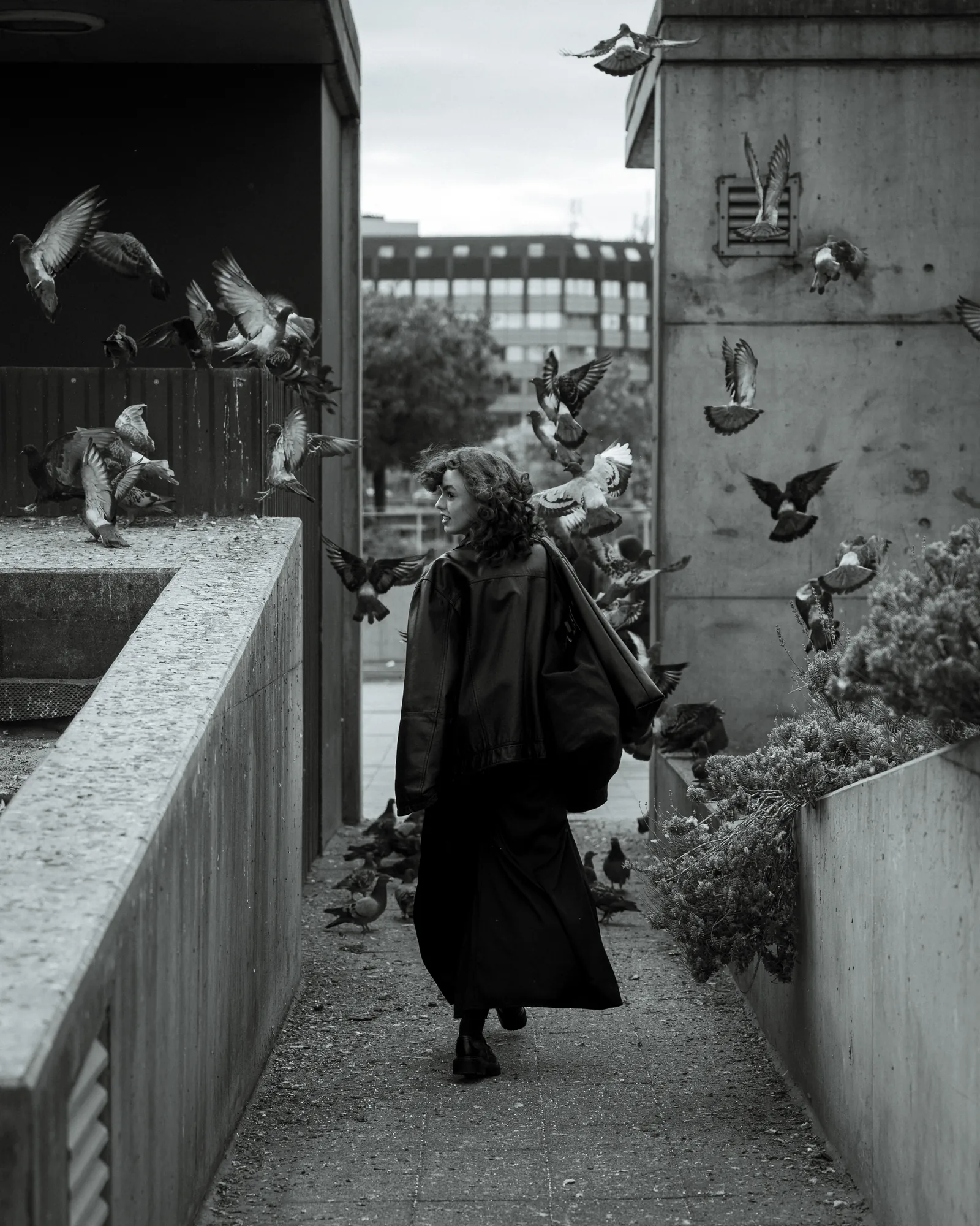 Urban Flight